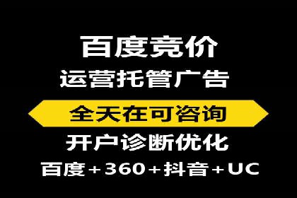 某企业SEM广告投放的ROI提升策略及效果展示
